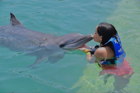 Dolphins aesthetic 
Swimming with dolphins 
Animal lover 
Summer 21 Dolphins Aesthetic, Dolphin Trainer, Swimming With Dolphins, Family Swimming, Mexico Cruise, France Aesthetic, Career Vision Board, Vision Board Pictures, Life Vision Board