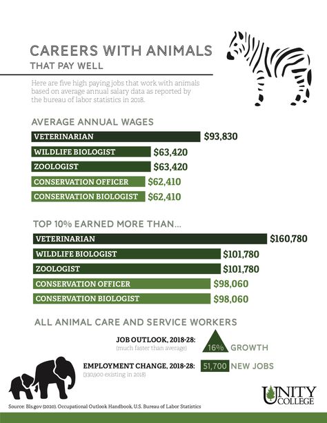 Animal Career Aesthetic, Careers With Animals, Animal Jobs Career, Animal Management Aesthetic, Wildlife Rehabilitation Career, Animal Science Aesthetic, Zoology Project Ideas, Zoology Degree, Wildlife Biologist Aesthetic