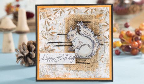 Creative Stamping 60 Sneak Peek! Red Squirrel, Box Template, Halloween Projects, Craft Shop, Paper Crafts Cards, Craft Stick Crafts, Paper Background, Sneak Peek, Inspirational Cards