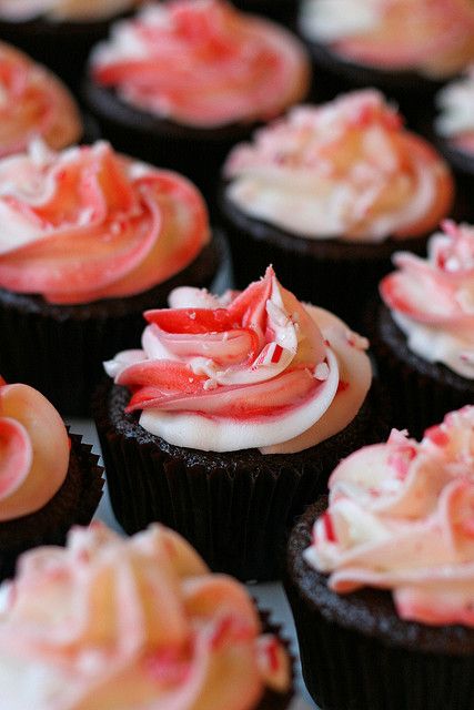 chocolate peppermint. Color Frosting, Chocolate Peppermint Cupcakes, Peppermint Recipes, How To Make Cupcakes, Baking Cupcakes, Yummy Cupcakes, Chocolate Peppermint, Pinterest Recipes, Vegetarian Chocolate