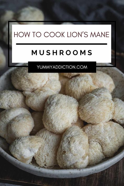 How to Cook Lion's Mane Mushrooms Lions Mane Mushroom Recipe, Vegetarian Steak, Easy Mushroom Recipes, Mushroom Recipes Vegan, Mushroom Recipes Healthy, Mushroom Benefits, Lions Mane, Lions Mane Mushroom, Steak And Mushrooms