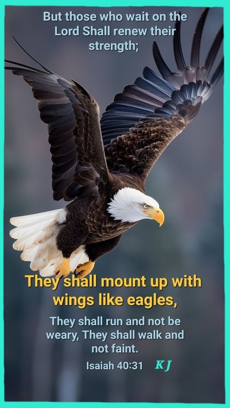 Eagle Bible Verse, Eagle Quotes, Exams Motivation, Bible Pic, Jesus Laughing, Prayer For Worry, Revelation Bible, Dove Pictures, Jesus Help