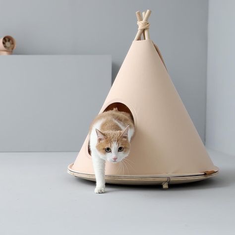 The Basic Concept on Instagram: “This cozy pet teepee is the ultimate modern oasis for your dog or cat ✨ - #chocotent #pethouse #cathouse #doghouse #tabbycat…” Cat Teepee, Pet Teepee, Basic Concepts, Animal House, Tabby Cat, Dog House, For Cats, Cat House, Oasis