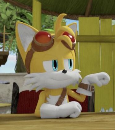 Sonic Boom Tails, Tails Sonic The Hedgehog, Tails Boom, Sonic Underground, Fox Boy, Sonic Funny, Sonic 3, Sonic Franchise, Sonic And Shadow