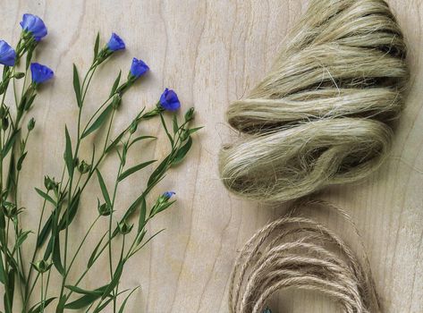 The story of linen from field to fabric - Seasalt Blog Linen Fiber, How To Wash Silk, Flax Plant, Satin Pillowcase, Natural Fabric, Belgian Linen, Bedding Accessories, Natural Fabrics, Linen Bedding