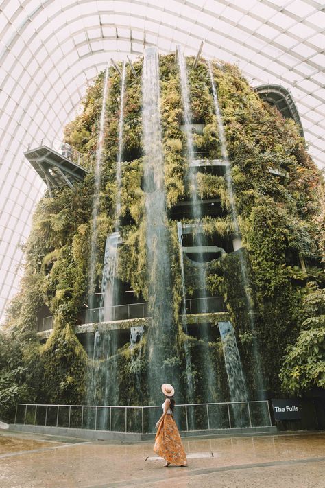 Cloud Forest, Singapore Singapore Itinerary, Singapore Photos, Cloud Forest, Singapore Travel, Asia Travel Guide, Gardens By The Bay, Travel Inspo, Asia Travel, Travel Ideas