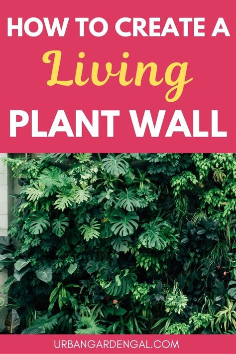 Plant Wall Diy, Vertical Plant Wall, Living Wall Diy, Green Wall Plants, Green Wall Garden, Living Wall Garden, Living Wall Indoor, Vertical Garden Wall Planter, Living Wall Planter