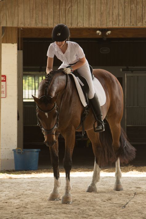 Horsey Life, Horse Riding Aesthetic, Horseback Riding Outfits, Horse Riding Outfit, Equestrian Aesthetic, Horse And Rider, Horse Aesthetic, Equestrian Lifestyle, Equestrian Life