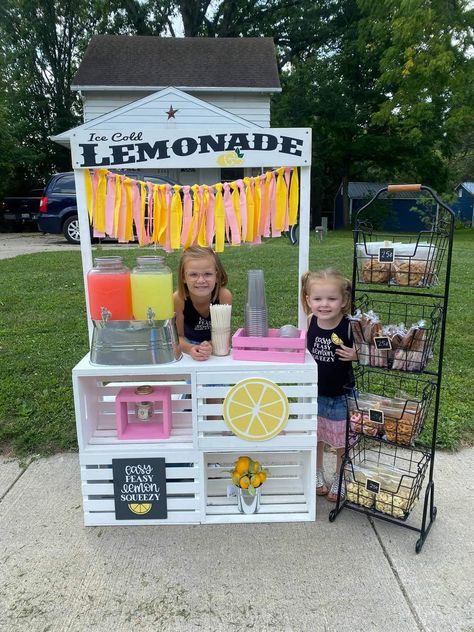 Lemonade Stand For Kids, Kids Lemonade Stand, Lemonade Business, Kids Lemonade Stands, Lemonade Stand Ideas, Diy Lemonade Stand, Kids Lemonade, Diy Lemonade, Lemonade Stands