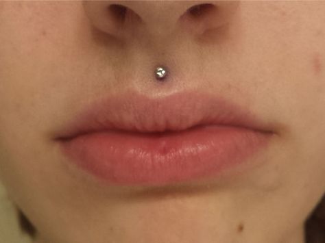 Piercing Medusa, Piercing Face, Piercing Girl, Small Wave Tattoo, Philtrum Piercing, Piercing Labret, Medusa Piercing, Tattoo Prices, Face Piercings