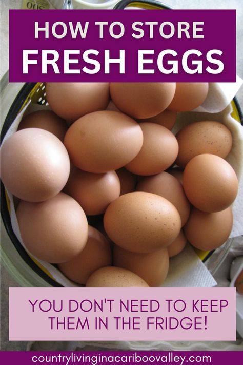 How To Store Eggs, How To Store Eggs Long Term, Farm Fresh Eggs Storing, Fresh Eggs Storage, Eggs On Counter, How To Freeze Eggs, Glassing Eggs, Freeze Eggs, Food Storage Ideas