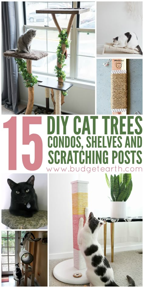 Want to spoil your cat? Check out these 15 DIY Cat Trees, Condos, and Scratching posts projects here! Diy Cat Trees, Diy Chat, Diy Cat Tree, Cat House Diy, Diy Cat Toys, Cats Diy Projects, Cat Tree Condo, Cat Ideas, Cat Trees