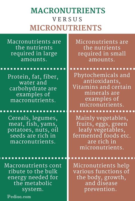 Dietetics Student, Atkins Diet Recipes, Nutrition Classes, Human Nutrition, Micro Nutrients, Nutrition And Dietetics, What Is The Difference Between, Holistic Nutrition, Health Blog