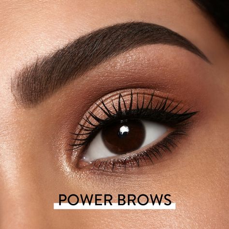 Power Brows, Hd Brows, Eyebrows, Makeup, Beauty