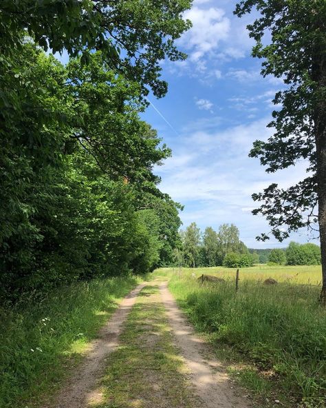 Rural Georgia Aesthetic, Swedish Girl, Southern Georgia, Rural Photography, Swedish Summer, Countryside Cottage, Summer Scrapbook, Iphone Wallpaper Images, Sunny Afternoon