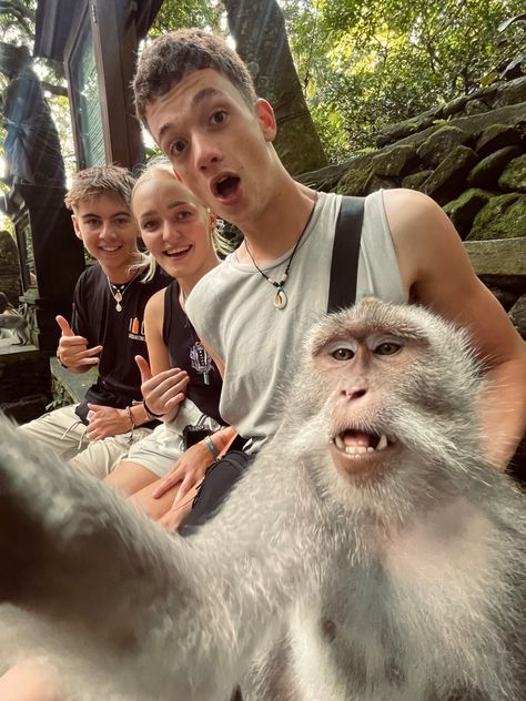 Taking a selfie with a monkey in the ubud monkey forest in bali Bali With Friends, Monkey Posing For Photo, Monkey Selfie, Monkey Island Thailand, Adventure Goals, Mid Term, Bali Tour Packages, Ubud Monkey Forest, Thai Travel