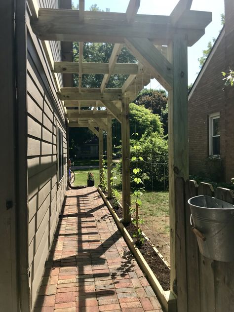 Pergola Walkway Ideas, Arbor Walkway Entrance, Walkway Cover Ideas, Side Yard Pergola Walkway, Pergola Over Walkway, Pergola Over Walkway To Front Door, Pergola Walkway Attached To House, Covered Walkway Side Of House, Pergola Against House