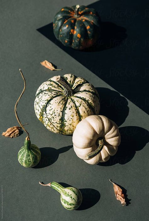 Product Photography Dark Moody, Pumpkin Product Photography, Autumn Pumpkin Aesthetic, Autumn Product Photography, Moody Product Photography, Pumpkin Still Life, Pumpkin Photography, Botanical Photography, Food Art Photography