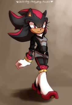 Female shadow Shadow Y Sonic, Shadow X Sonic, Sonic Anime, Character Bio, Shadow And Amy, Sonic And Amy, Sonic Funny, Sonic Fan Characters, Sonic Franchise