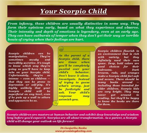 Scorpio Child, Scorpio Personality Traits, Water Signs Zodiac, Scorpio Personality, Scorpio Traits, Woman Personality, Scorpio Facts, Personality Traits, Personality Types