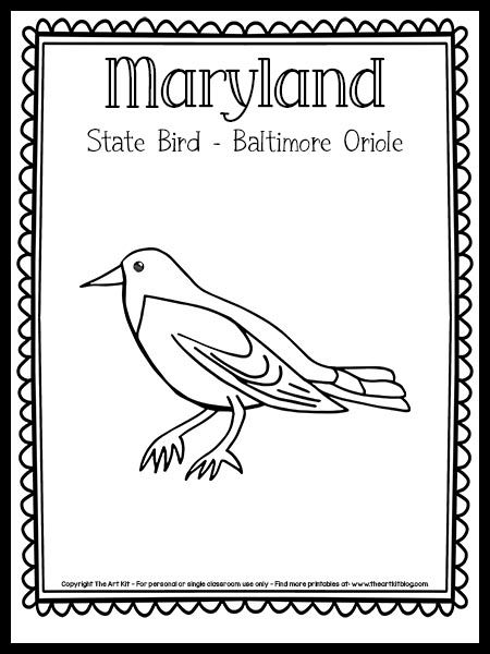 Maryland State Bird Coloring Page (Baltimore Oriole) {FREE Printable!} - The Art Kit Bird Coloring Page, Baltimore Orioles Birds, Quilt Patterns Easy, Baby Quilt Patterns Easy, Clara Barton, Home Craft Room, Oriole Bird, Maryland Blue Crab, Baltimore Oriole