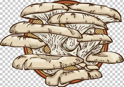 Mushroom Oyster, Mushroom Logo, Mushroom Clipart, Garden Mushrooms, Oyster Mushroom, Edible Mushrooms, Free Sign, Visiting Cards, Color Help