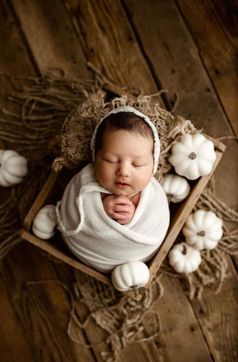 November Newborn, Fall Newborn Photos, Fall Newborn, Newborn Photography Poses, Newborn Photoshoot, Newborn Pictures, Newborn Photos, Newborn Photography