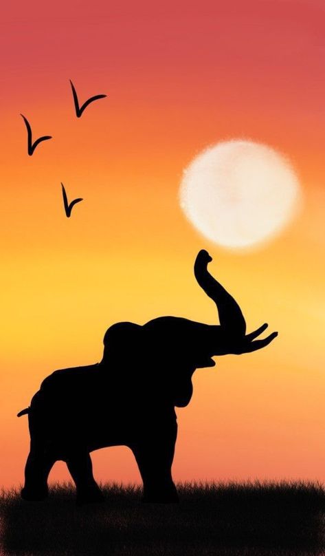 Elephant Painting Canvas, Animal Paintings Acrylic, Sunset Canvas Painting, Oil Pastel Drawings Easy, Fall Canvas Painting, African Sunset, Afrikaanse Kunst, Silhouette Painting, African Art Paintings