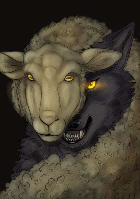 Wolf Sheep, Wolf In Sheeps Clothing, Wolf Clothing, Clothing Anime, Kaptan Jack Sparrow, Sheep Clothing, Anime Outfit, Clothing Art, Meaningful Drawings