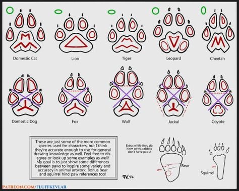 Paw Drawing, Art Advice, Art Tumblr, Canine Art, Paw Pads, Concept Art Drawing, Guided Drawing, A Lot Of People, Art Practice