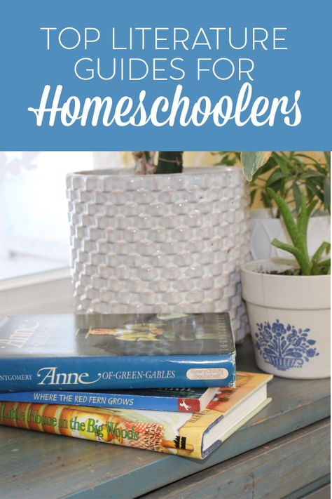 Top Literature Guides for Homeschoolers #homeschool #cmhomeschoolers #homeschoolcurriculum #raisingreaders Homeschool Book Club Ideas, Teen Book Club, Homeschool Literature, Literature Study Guides, Read Aloud Activities, Expository Writing, Reading Aloud, Homeschool Books, How To Homeschool