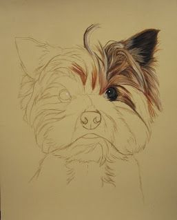 Blog du peintre animalier Cindy Barillet : Portraits d'animaux: Portrait de Yorkshire (pastels secs) Yorkie Painting, Dog Drawing Tutorial, Pastel Sec, Dog Sketch, 강아지 그림, Watercolor Dog, Color Pencil Art, Creative Drawing, Art Painting Acrylic