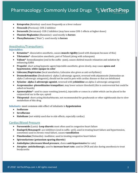 Vet Tech Cheat Sheet Anesthesia, Vet Med Anesthesia, Vet Receptionist Cheat Sheet, Vet Tech Anesthesia, Vtne Prep Veterinary Technician, Veterinarian Pharmacy, Navle Study, Vet Assistant Tips, Vet Pharmacology