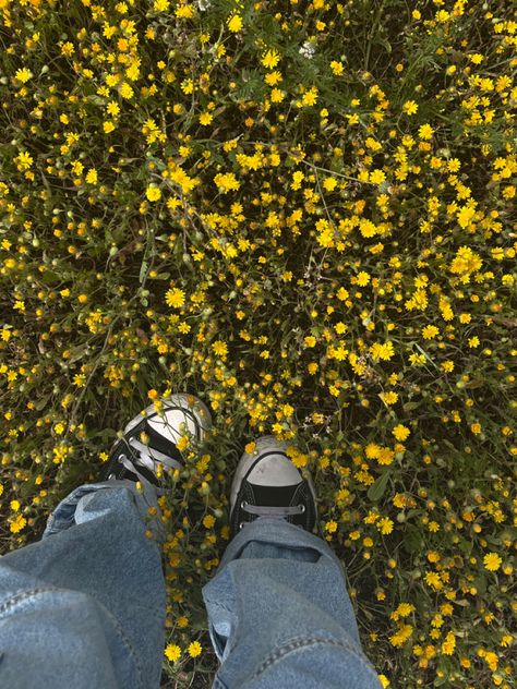 spring | yellow flowers | aesthetic | converse high | converse low | jeans | blue jeans | indie style | y2k | spring | summer vibes | bee Yellow Flowers Aesthetic, Aesthetic Converse, High Converse, Converse Aesthetic, Brown Converse, Asriel Dreemurr, Low Jeans, Y2k Spring, Spring Yellow