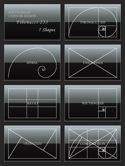 Golden Section Architecture, Fibonacci Series, Golden Section, Food Photography Composition, Photography Cheat Sheets, Fibonacci Spiral, Fotografi Digital, Photo Composition, Photography Basics