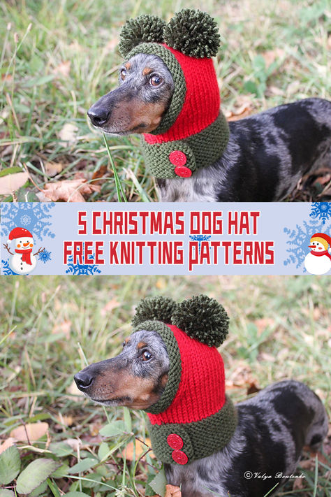 5 Christmas Dog Hat Knitting Patterns - FREE - iGOODideas.com Dog Christmas Hat Crochet Pattern, Knitted Dog Hats Free Pattern, Crochet Dog Santa Hat Free Pattern, Dog Beanie Pattern, Dog Hat Crochet Pattern, Hat Knitting Patterns Free, Crochet Dog Hat Free Pattern, Knitted Dog Hat, Dog Hat Pattern