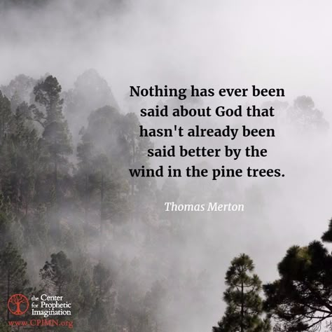 Nothing has ever been said about God that hasn’t already been said better by the wind in the pine trees. ~Thomas Merton Thomas Merton Prayer, God In Nature, Family Tree Quotes, Jewish Person, Mystic Quotes, Anne Lamott, Thomas Merton, About God, Finding God