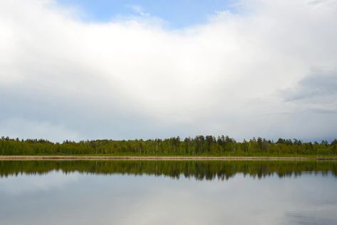 Premium Photo | Lake dawn beautiful nature landscape sunrise on a forest lake or river pond panoramic view sunset Communal Housing, Calm Landscape, Panoramic Landscape, Landscape Sunrise, View Sunset, Water Surface, Plains Background, Outdoor Photoshoot, Lake Landscape