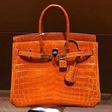 Orange Birkin, Croc Birkin, Hermes Birkin Orange, Luxury Bags Collection, Luxury Purses, Instagram S, Birkin 25, Hermes Bags, Hermes Birkin