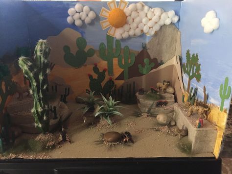 Desert diorama Ecosystems Diorama, Biomes Project, Earth Science Projects, Desert Diorama, Diorama Kids, Diarama Ideas, Ecosystems Projects, Desert Biome, Habitats Projects