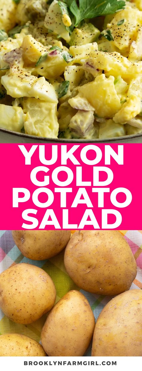 Potato Salad With Yellow Potatoes, Potato Salad Gold Potatoes, Yukon Potato Salad Recipe, Potato Salad Yukon Gold, Golden Potato Salad, Potato Salad With Yukon Gold Potatoes, Klondike Goldust Potatoes Recipe, Yukon Gold Potato Salad Recipe, Yukon Gold Potatoes Recipes