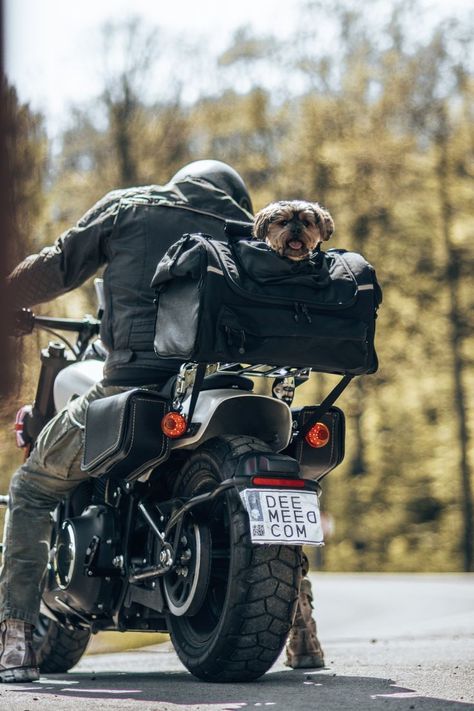 Dog Bike Carrier, Motorcycle Carrier, Biking With Dog, Dog Carrier Bag, Motorcycle Camping, Motorcycle Travel, Pet Bag, Dog Bag, Ventilation System