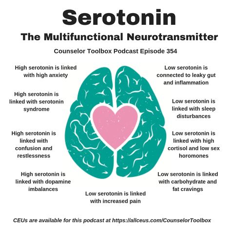 In Counselor Toolbox Podcast Episodes 354-356; 364 https://www.allceus.com/podcast/354-serotonin-the-multifunctional-neurotransmitter/ Learn about Neurotransmitters and Your Mood: Serotonin, GABA, Dopamine and Norepinephrine  CEUs are available at https://www.allceus.com/member/cart/index/product/id/960/c/ Serotonin Syndrome, Brain Facts, Mental Health Therapy, Brain Science, Medical Knowledge, Medical Education, Anatomy And Physiology, Mental And Emotional Health, Health Info