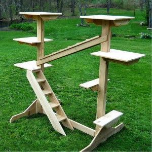 Extra Large Outdoor Cedar Cat Gym Cat Jungle Gym, Cat Jungle, Chat Diy, Cat Gym, Diy Cat Tree, Jungle Gym, Cat Enclosure, Cat Shelves, Cat Condo