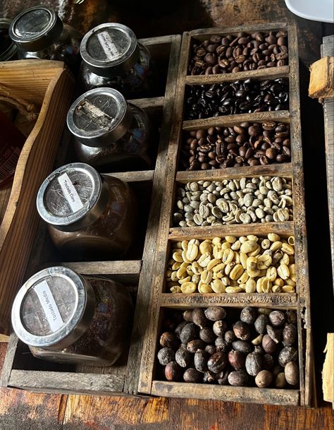 Colombian Coffee beans all different colors separated Colombian Coffee, Coffee Coffee, Experiential, Coffee Travel, Travel Bucket, Aesthetically Pleasing, Coffee Bar, Coffee Beans, Honduras