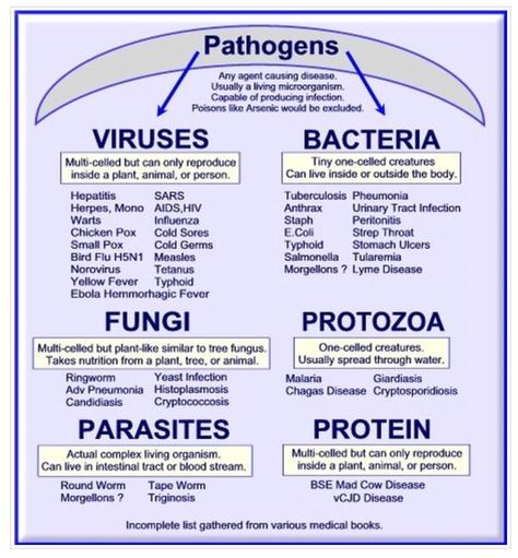 Types of Pathogens Nursing School Survival, Nursing School Studying, Medical Facts, Nursing School Tips, Medical School Studying, Nursing School Notes, Medical Terminology, Medical Studies, Nursing Tips