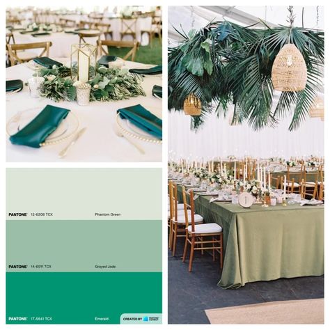 Top 10 Sage Green Wedding Color Palette & Decor Ideas Sage Green Wedding Color Palette, Green Wedding Color Palette, Color Palette Decor, Mustard Yellow Wedding, Sage Color Palette, Sage Green Wedding Colors, Popular Wedding Colors, Wedding Color Combinations, Wedding Color Combos