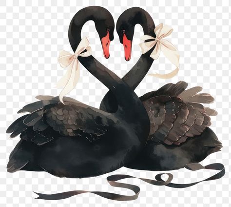 Cute Png Aesthetic Transparent, Swan Drawing, Instagram Backgrounds, Black Coquette, Black Swans, Png Aesthetic, Instagram Background, Apple Watch Wallpaper, Aesthetic Things