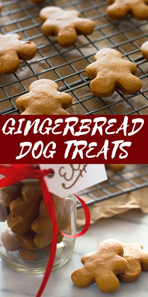 Gingerbread Dog Treats, Dog Treats Homemade Christmas, Balanced Dog Food Recipe, Yogi Recipes, Diy Horse Treats, Horse Treats Recipe, Horse Cookies Recipes, Gingerbread Treats, Homemade Horse Treats