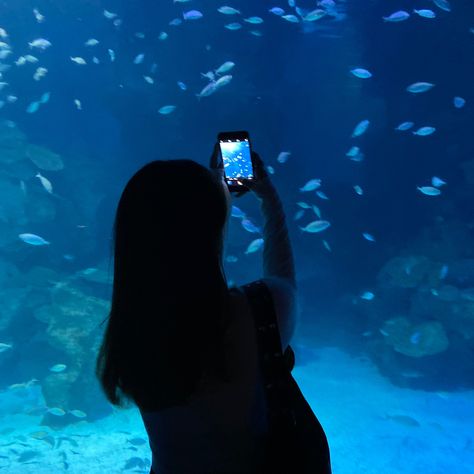 Blue Girl Aesthetic, Aquatic Aesthetic, Aquarium Date, Aquarium Pictures, Fake Pics, Sea Photo, Japan Aesthetic, Ocean Vibes, Cute Friend Pictures